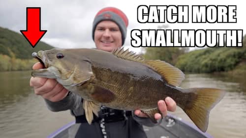How to Fish the NED RIG for Smallmouth Bass!
