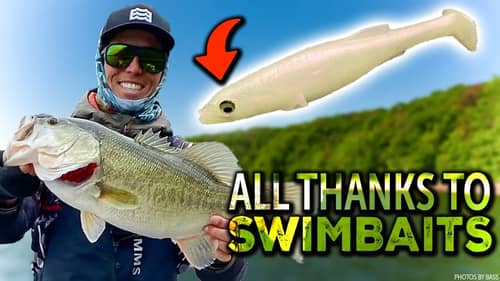 Swimbaits Fix EVERYTHING! (Bassmaster's Chickamauga Megabass Fishing Tips & Bait Rigging Secrets)