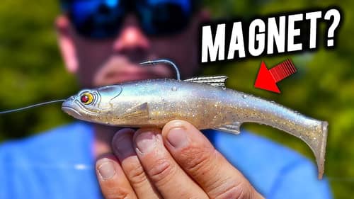 WHY would PRO Chris ZALDAIN Put a Magnet in a SWIMBAIT?!?!