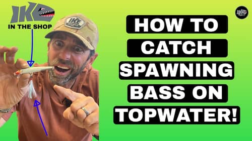 How to Catch Spawning BASS on TOPWATER!