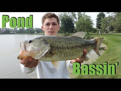 Pond Hopping: Big Bass On Frogs