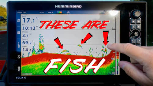 SONAR BASICS: HOW TO FIND FISH