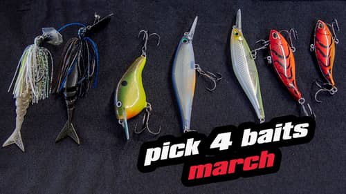 Pick 4 | Baits For March