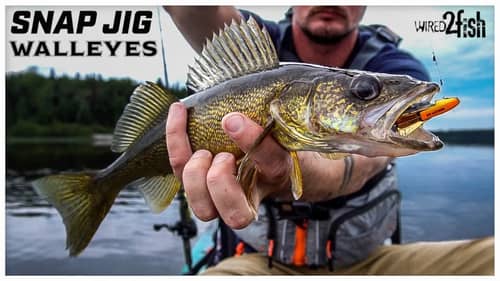 Snap Jigging Walleye from a Kayak (Leave The Bait at Home!!)