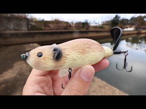 DAM FISHING with a HUGE BEAVER LURE!!