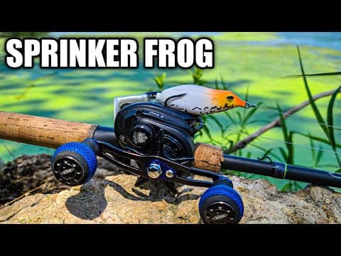 Bank Fishing with the Teckel Sprinker Frog (Easy Frog for Beginners)