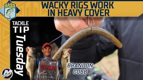 Don't be afraid to fish a Wacky Rig in Heavy Cover