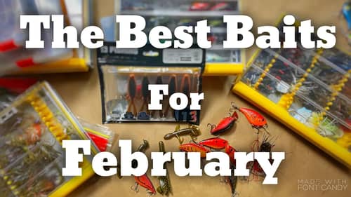 Bass Fishing Lures and Baits for February