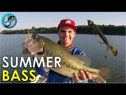 The Secret to Catching Inactive Summer Bass