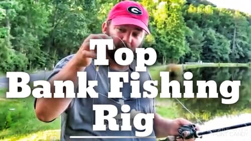 The Most Important Bass Fishing Rig  in Bank Fishing