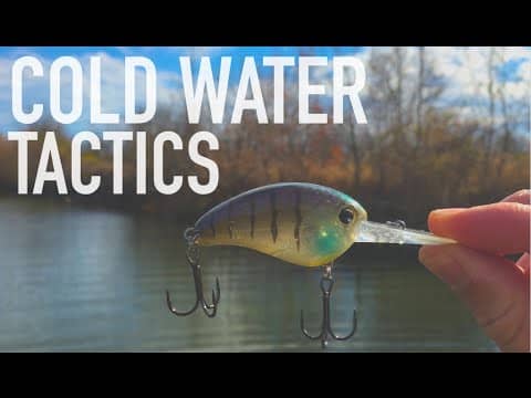 2 Cold Water Tactics You NEED To Try -- Bass Fishing