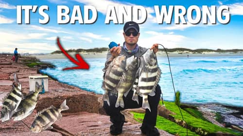 Worm & Jig Fishing Deep Brush with NO Electronics! Jon Boat Bass