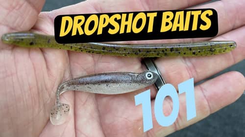 Dropshot Lure Selection For Beginners