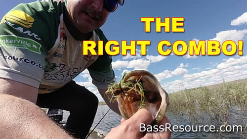How To Choose A Combo: Finesse Jigs (Rod, Reel, & Line) | Bass Fishing
