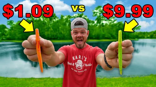 1v1 CHEAP vs EXPENSIVE Fishing Lures! (Does Price Matter?)