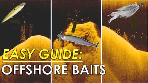 Use Fish Finder To Pick Perfect Offshore Bait Every Time