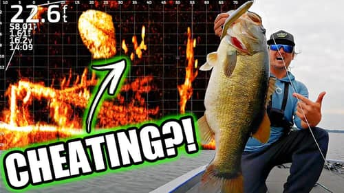 Is Livescope TOO EASY?! Live Screen Footage Catching Bass!