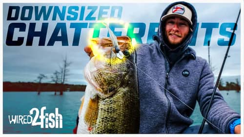 How to Fish Downsized ChatterBaits for Spring Bass