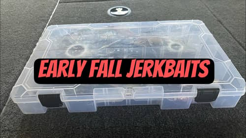 A Peek Into My Early Fall Jerkbait Box…
