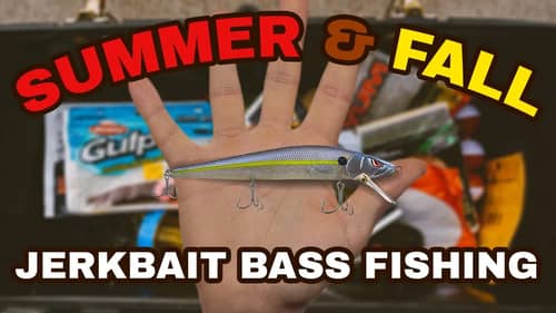 Summer & Fall Jerkbait Bass Fishing Tips