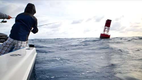 Fishing in Giant Ocean Swells for Powerful Fish