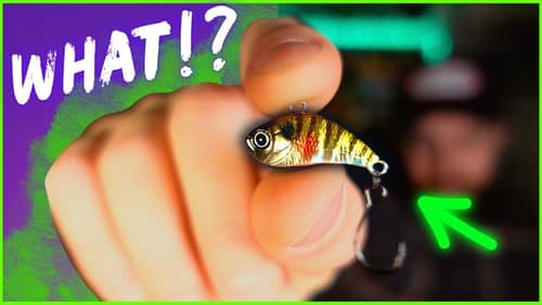 These TINY FISHING LURES Catch MONSTER FISH!
