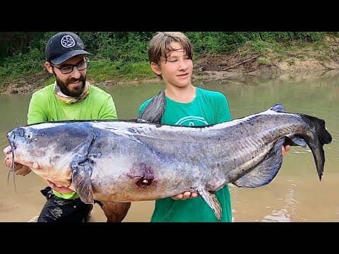 MONSTER CATFISH caught in a CREEK!
