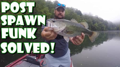 Where Did The Big BASS GO? Post Spawn Funk SOLVED!