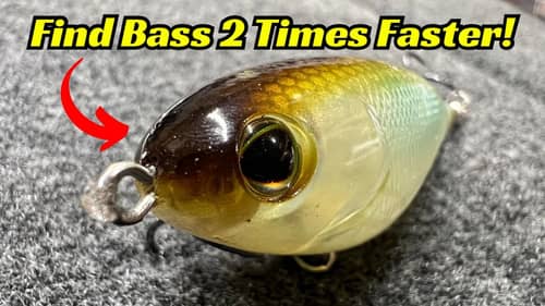 Find Bass Twice As Fast With These Search Baits!