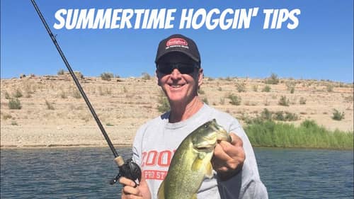 The 3 Keys To Quickly Finding And Catching Summer Bass