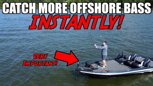 MASTER Offshore Bass Fishing with This ONE Video!