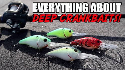 EVERYTHING You NEED To Know About Deep Crankbait Fishing!