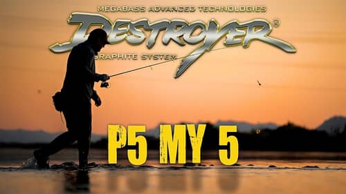My 5 Favorite Rods For Shore Fishing!! Megabass Destroyer P5 My 5!!