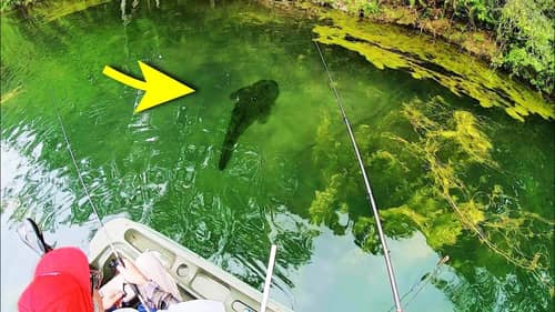 INSANE FISHING in CLEAR WATER POND!!!