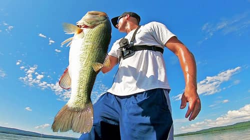 Catching GIANT BASS in the HEAT OF THE SUMMER! (SLOW DOWN)
