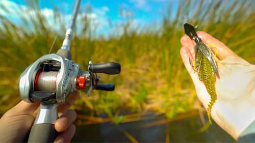Florida PEACOCK Bass Kayak Fishing  Bass fishing videos, Fishing videos,  Bass fishing