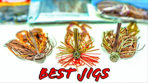 Buyer's Guide: Best Jigs and Trailers For Bass Fishing