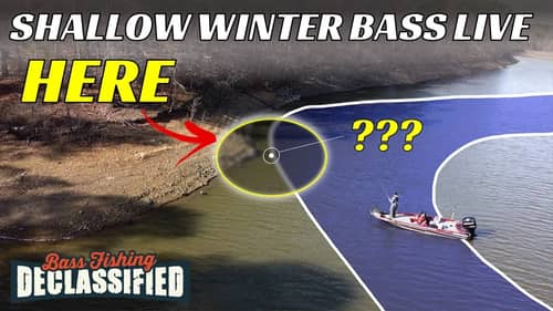 This Shallow Water Area Holds BIG BASS All Winter Long