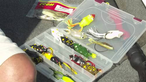 Thoughts on Fishing Frogs for Bass
