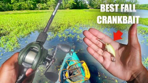 Crankbait Fishing For BIG BASS at a Trophy Pond (Fall Bass Fishing)