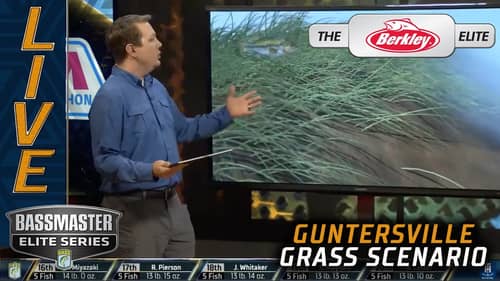 Breaking down the grass at Guntersville (Bassmaster Elite)