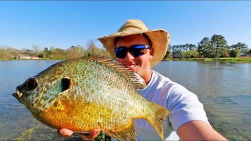 MONSTER BLUEGILL and PANFISH in the SPRING! (LOADED)