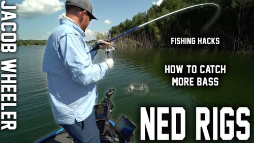 Ned Rigs - Heavy Cover Fishing Tricks