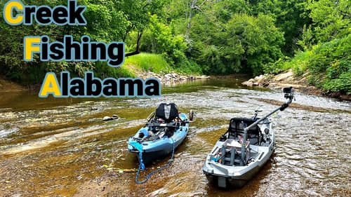 This Shallow Creek has Big Alabama Bass