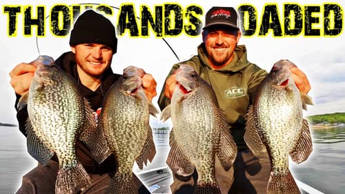 10,000's of BIG CRAPPIE Schooled Up on LAKE GUNTERSVILLE!! (LOADED & KILNEX REVIEW)