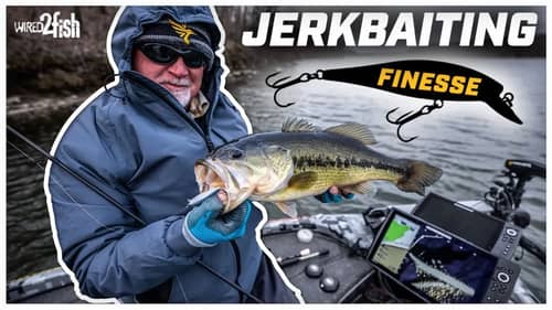 How to Fish Small Jerkbaits for Late Winter Bass