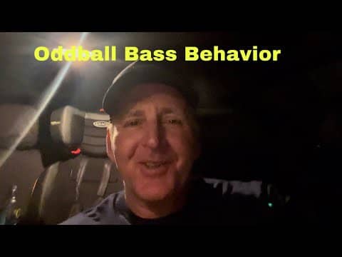 You Won’t Believe What These Dang Bass Are Doing Right NOW…