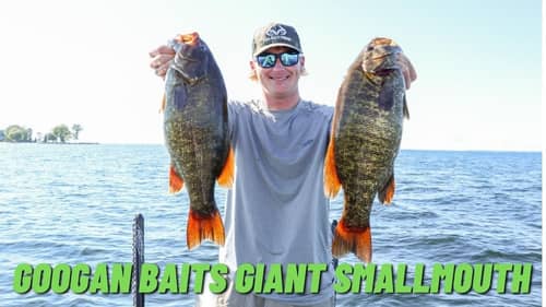 Googan Baits Rattlin' Ned is THE DEAL for GIANT SMALLMOUTH!
