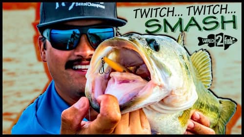 6 Tips to Catch More Bass on Finesse Jerkbaits