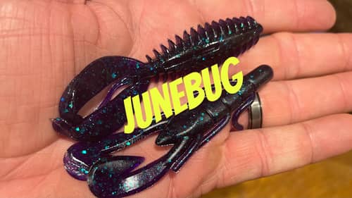 When To Use Junebug-Colored Soft Plastics